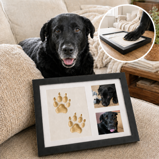 Forever Clay Paws Kit